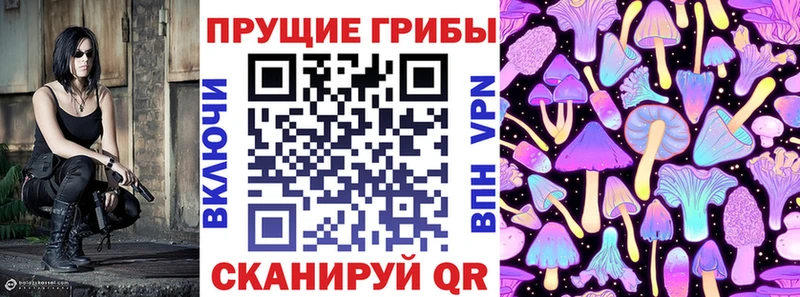Галлюциногенные грибы Psilocybine cubensis  Камешково 